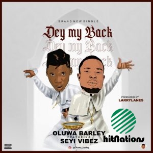 Oluwa Barley ft Seyi Vibez - Dey My Back