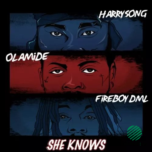 Harrysong ft Olamide & Fireboy DML - She Knows