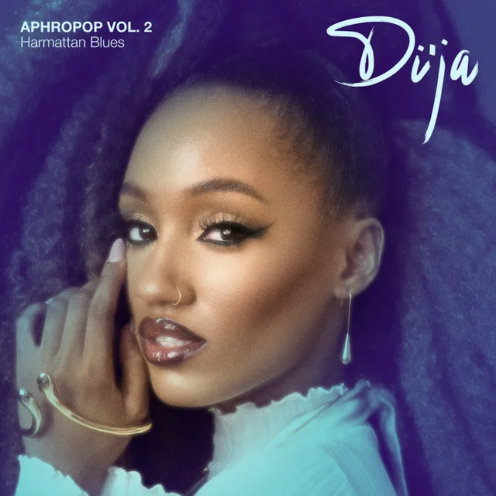 Di’Ja – Never Give Up Ft. Portable