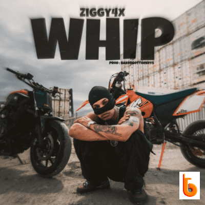 Ziggy4x – Whip